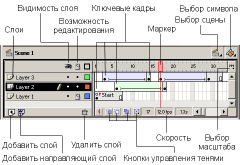 Вы точно человек?